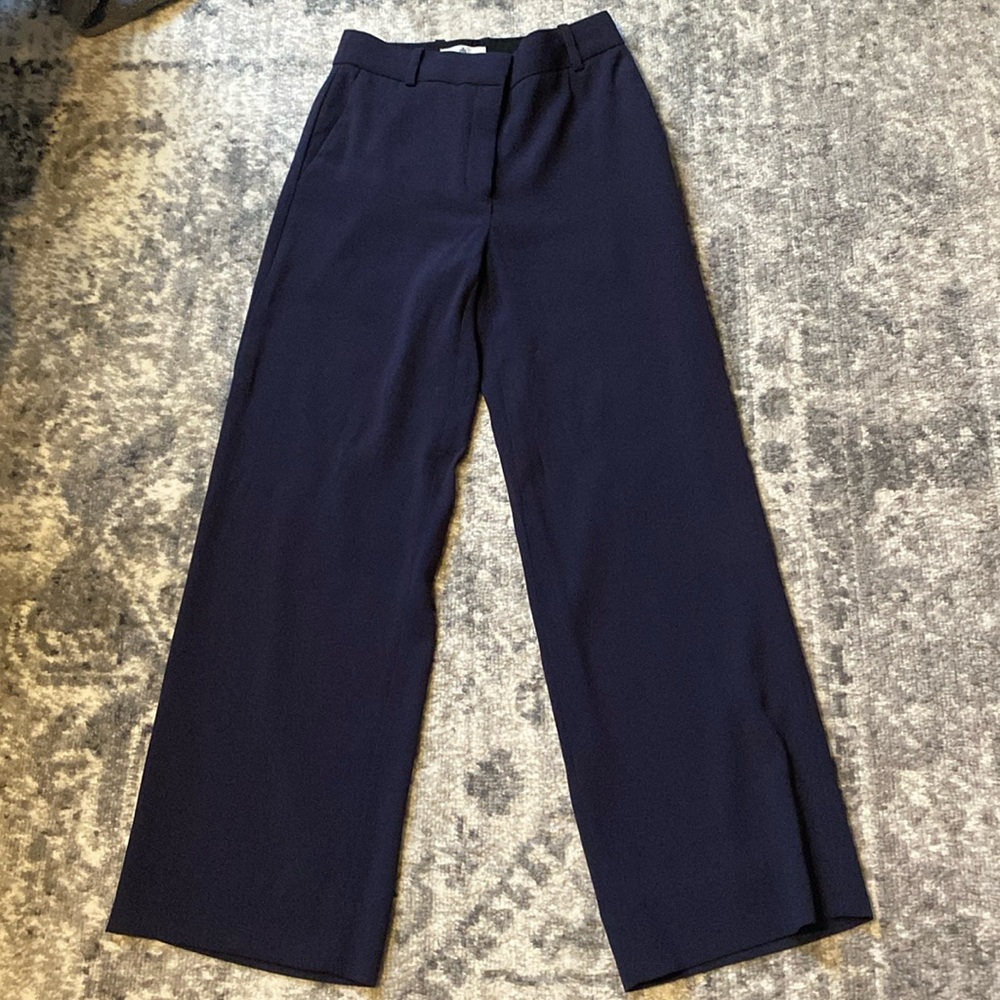 Aritzia Babaton dress pants